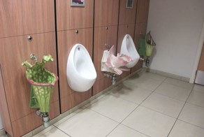 Смешные картинки