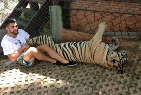 Смешные картинки