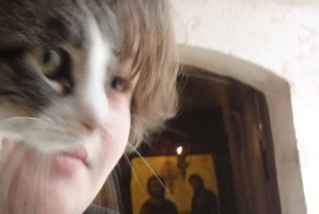 Прикольные фото и картинки от zubrilov за 21.06.2013 №159436