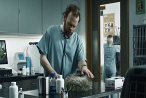  Ужасное происшествие в кабинете ветеринара