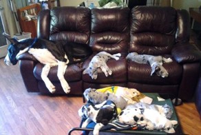 Свежий фотоприкол