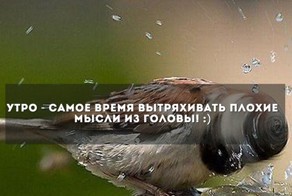 22 важные и интересные мысли о жизни