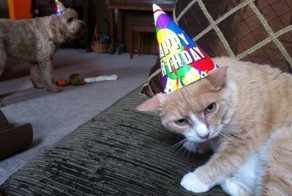 Фото онлайн