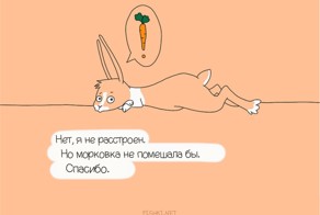 Все, что вы хотели знать о кроликах, но боялись спросить