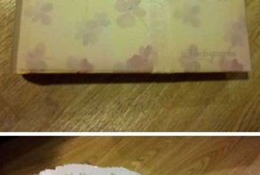 Свежий фотоприкол