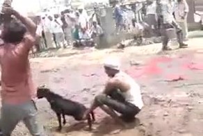 Подборка роликов от 25.06.2013