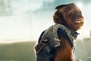 Самые знаменитые животные-киноактеры