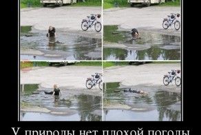 Подборка демотиваторов