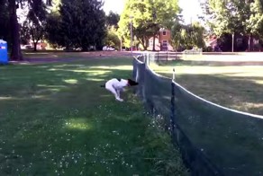 Иди к своей цели несмотря ни на что!