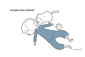 Если бы мой кот мог говорить