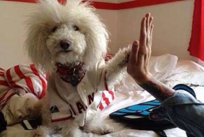 Фотоприкол бесплатно