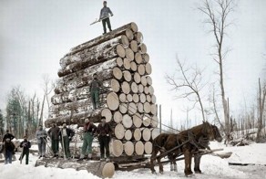 Фотоприкол