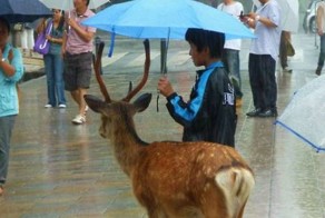 Новый фотоприкол