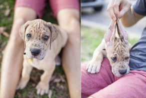 Пикантный фотоприкол