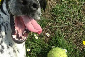 Красивые фото