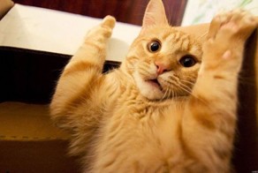 Зачетное фото