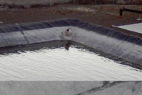 Фотоподборка