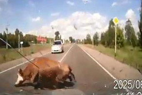 Подборка роликов