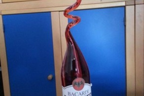 Прикольные фото и картинки от zubrilov за 03.07.2013 №160477