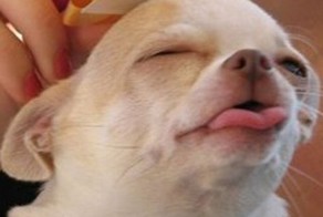 Юмор прикол