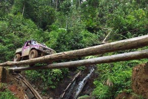 Прикольные фото и картинки от zubrilov за 03.07.2013 №160547