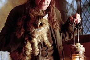 Прикольные фото и картинки от zubrilov за 04.07.2013 №160669