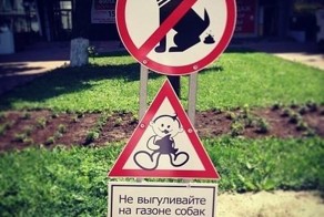 Прекрасные фото