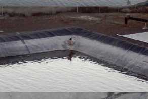 Прикольные фото и картинки от zubrilov за 04.07.2013 №160709