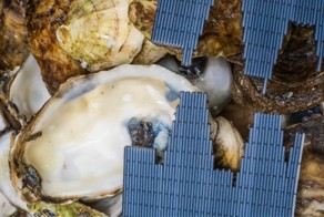 Вы не поверите, на что способны 3D-принтеры уже сегодня