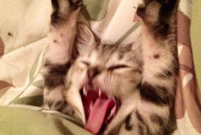 Прикольные фото