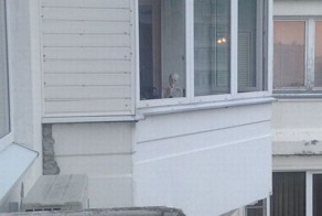 Фотоприкол онлайн бесплатно