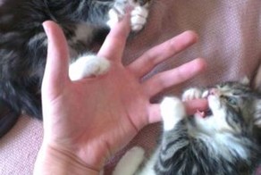 Смешной фотоприкол