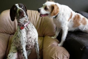 Новый фотоприкол