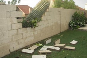 Фотоприкол онлайн