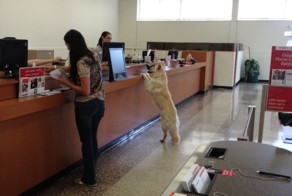 Фотоприкол недели