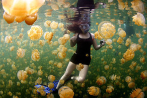 Лучшие фотографии National Geographic за июль