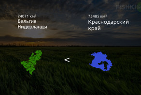Сколько в России Германий?