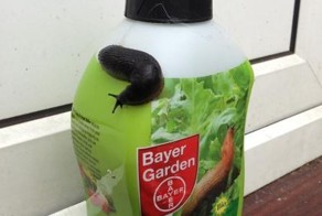 Прикол