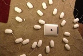 Новый фотоприкол