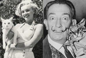 40 редких фотографий кошек и их знаменитостей