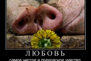 Подборка демотиваторов 