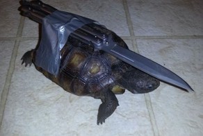 Новый фотоприкол
