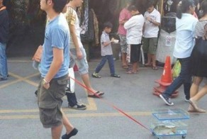 Улетное фото