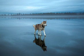 15 невероятных фотографий, которых не касался фотошоп