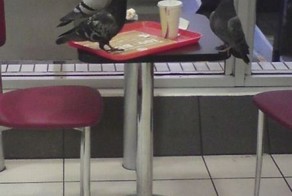 Прикольные фото