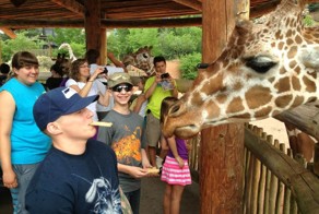 Юмор прикол