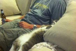 Новый фотоприкол