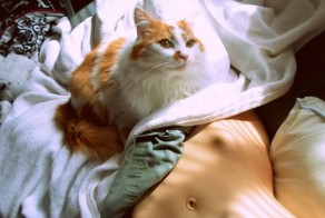 Фотоприкол онлайн