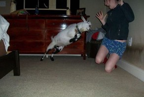 Прикол картинка