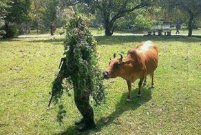 Новый фотоприкол